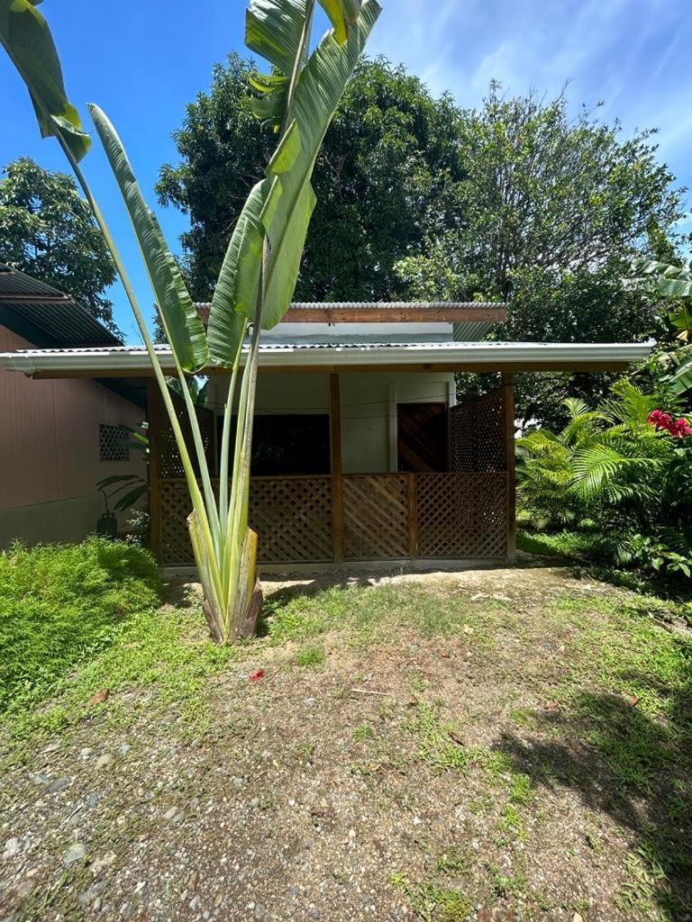 Ballena Oasis Homes & Glamping Uvita Exterior foto